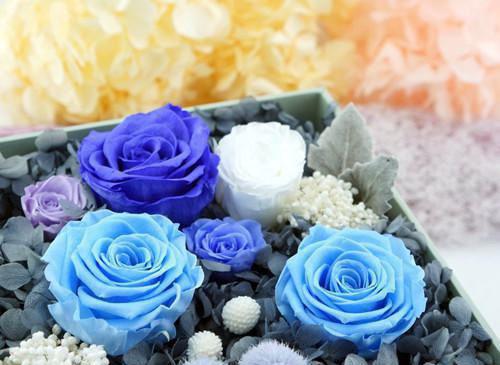 (抖音小说)姜逢陈砚初免费阅读第1章