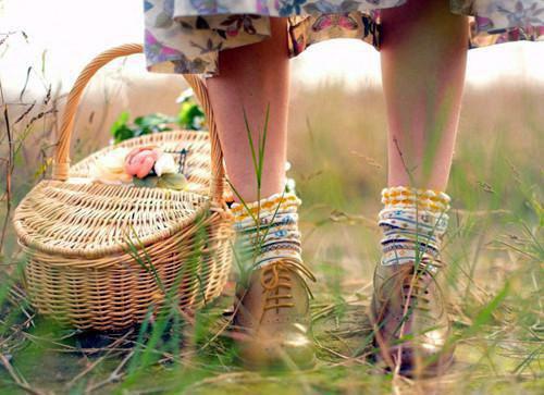 灵衍凰之免费小说 灵衍凰之在线阅读