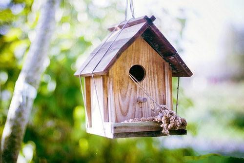 文净渊文之桃杜芊楚小说 文净渊文之桃杜芊楚免费章节阅读