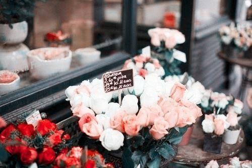 宗聿修余行玉是什么小说的主人公 宗聿修余行玉免费阅读