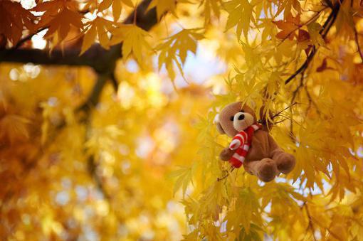 《假死后我和闺蜜双双带球跑了》最新章节免费阅读by佚名大结局