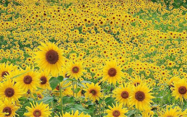 张熙免费阅读小说 张熙第1章