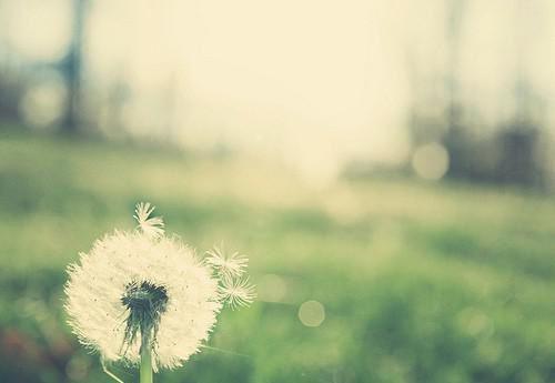 状元暑期工王承阳江承炎免费章节在线阅读