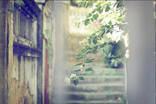 江盛歌江茗雪江兴国孔琳珠免费大结局 留洋大小姐不端庄完结小说