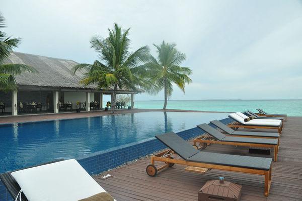 暴雨末日,送宝宝嫂子全家去死免费读全文 李萱小说无弹窗