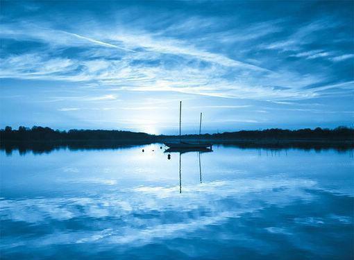 薄临渊谢软软谢软软薄临渊无广告阅读新上热文谢软软薄临渊在线免费读