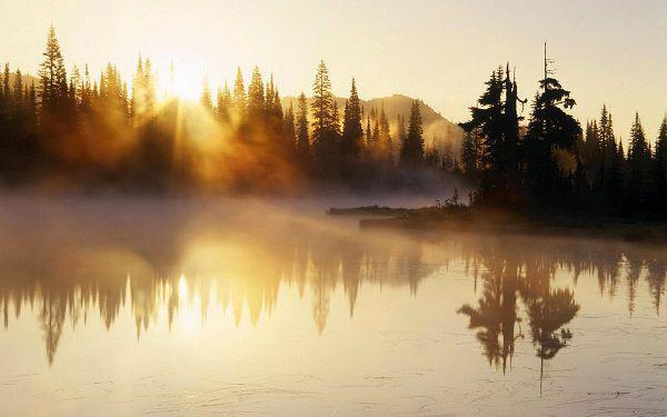 《儿子入赘后弃养了亲生父母》by佚名(陈昌明鸢鸢吴老师)免费阅读完整版