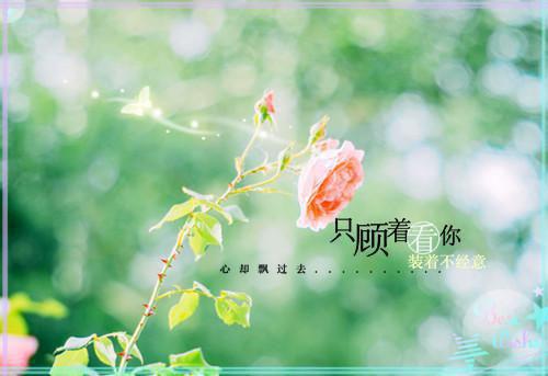 养儿防老最新更新 陈天赐陈琳琳免费读