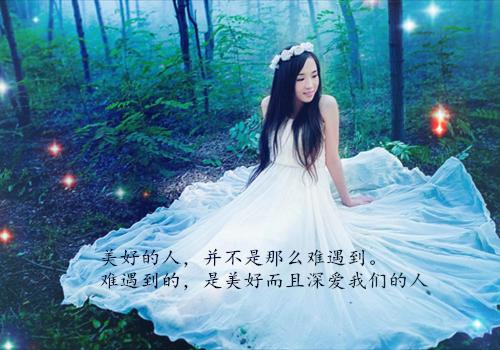 她自地狱归来沈宴舟林惊月全文免费阅读(已完结)