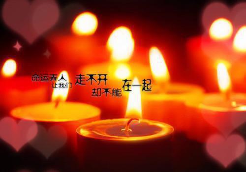 黑月光洗不白的最新更新 顾舒云骆池顾禾汐免费读