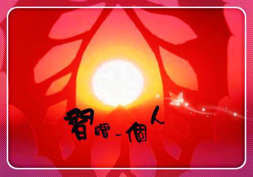 佳丽三千，贵妃不想侍寝江锦洛裴宴大结局小说全集阅读