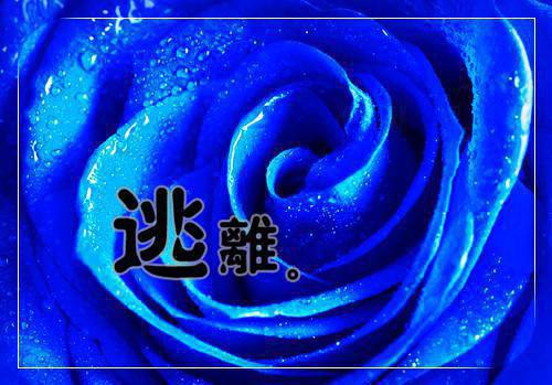 云舒沅穆瑾宸免费阅读小说 云舒沅穆瑾宸第3章