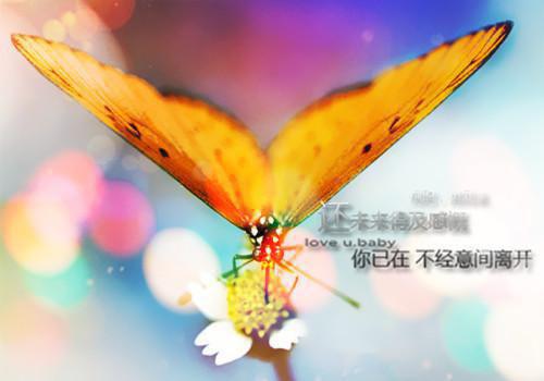 被师姐抢走黑蛟道侣后，我成了龙后在线阅读 柳飘飘沈让墨百川小说