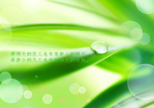 夜里玫瑰小说免费看 (谭华周惜刘阳席念思)无弹窗广告阅读