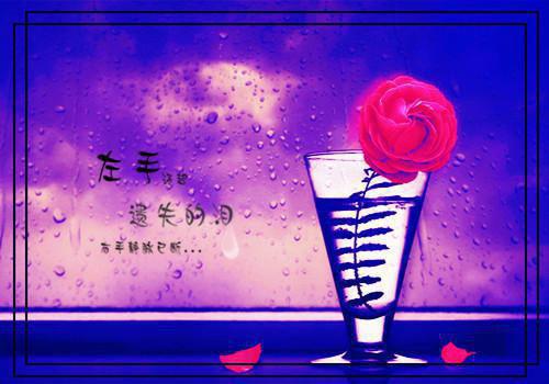 顾晚晚傅野小说闪婚替嫁：糙汉老公坏透了全文免费阅读