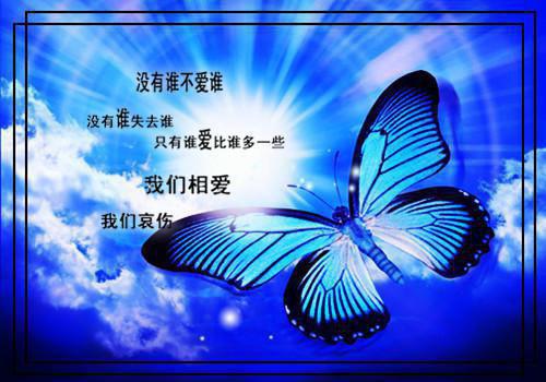 都离婚了，你还纠缠什么：结局+番外+全文（容辞封庭深林芜）全文免费阅读无弹窗大结局_(都离婚了，你还纠缠什么：结局+番外+全文)最新章节列表（容辞封庭深林芜）