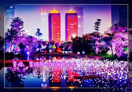 主角叫谢昭盛夏的小说 十二声在线阅读全文