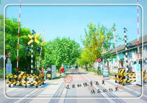 新婚夜我被疯批太子扫地出门（重阳月风）小说免费阅读无弹窗大结局_（重阳月风阅读无弹窗）最新章节列表