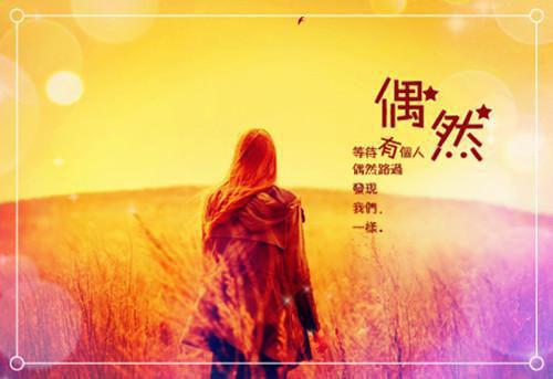 宋临川施婉婉汤粥粥大结局免费阅读 宋临川施婉婉汤粥粥全文小说