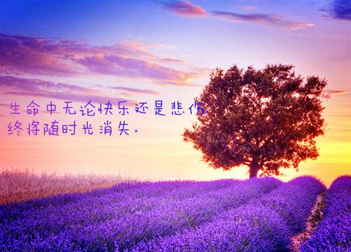 桂兰小说 桂兰免费全文阅读