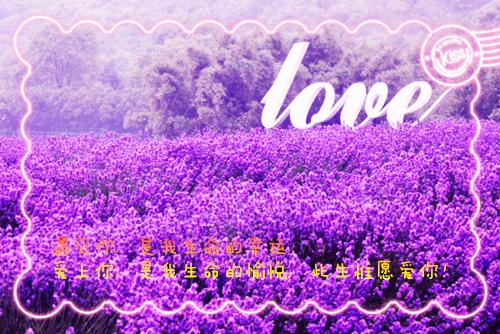 梦梦王浩全文免费无弹窗 我给妈妈立宠女儿人设章节试读