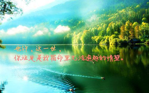 李阳是什么小说 透视眼你不去乱看鉴什么宝呢！王者皮小皮