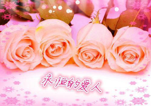 沈愿裴宴池小说 沈愿裴宴池全文免费阅读