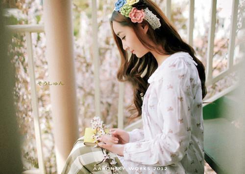 《沈怜苏青小说》无弹窗全文免费阅读