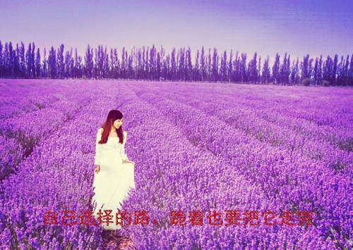 玄冥离月是什么小说 玄冥离月全本免费阅读