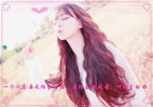 简晚霍呈小说目录 简晚霍呈完整免费版阅读