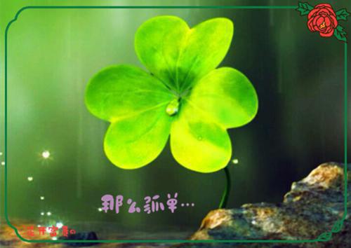 半秋裴序杳娘 半秋裴序杳娘小说免费阅读