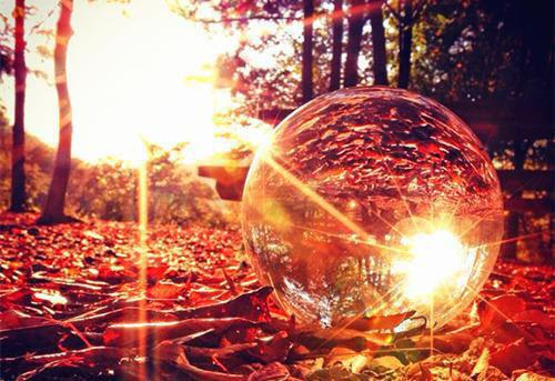 重生后,貔貅精抢了我的螣蛇夫君小说在线阅读无弹窗 沈长安周文翰许如月最新章节