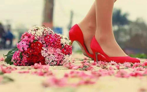 重生八十年代我要上大学小说最新章节（张向东）全文免费阅读无弹窗大结局_张向东免费阅读（重生八十年代我要上大学小说）