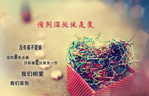 牧酒王亦可陆雨什么小说 牧酒王亦可陆雨全文免费阅读