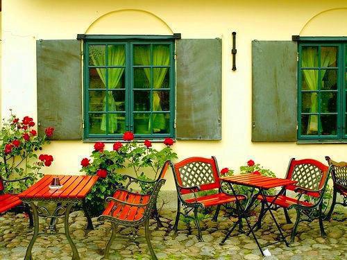 顾念沈裴司凌心月免费阅读目录 顾念沈裴司凌心月小说全文