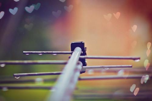 周柔孟承平可兰儿全文免费大结局 周柔孟承平可兰儿小说在线阅读