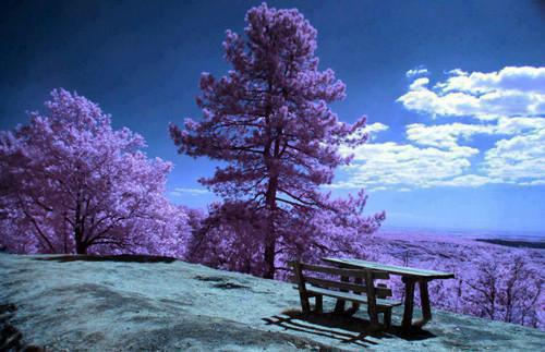 老公出轨后，染上了脏病刘旭明赵浩亮陈娇娇by鱼子