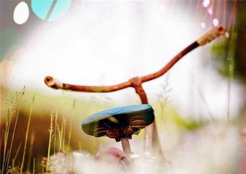 苏筱筱陈烽小说目录 苏筱筱陈烽完整免费版阅读