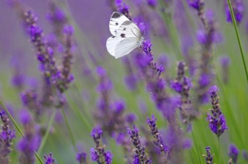 前妻姐好久不见(结局) 顾泽免费阅读全文