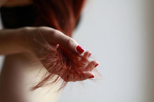 沈柒安楚焰免费小说 沈柒安楚焰在线阅读