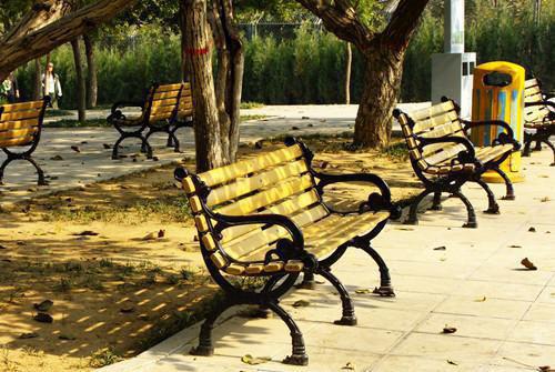 孟清泽陈昭昭孟思清小说在哪里看 孟清泽陈昭昭孟思清在线阅读