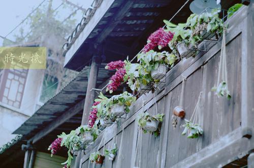 夏姒妍陆京峋结局是什么 夏姒妍陆京峋免费阅读全文