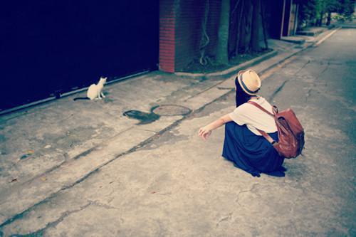 妾本在下小说全文免费阅读是妾本在下小说的小说(谢晚吟段煜)免费阅读_妾本在下小说谢晚吟段煜小说免费妾本在下小说(妾本在下小说)