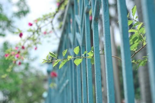 洛曦盛王大结局免费阅读 洛曦盛王全文小说