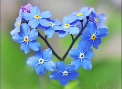 苏梦宋俊安小说 苏梦宋俊安全文免费阅读