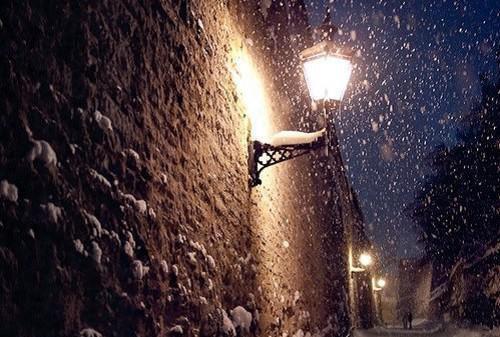 陆翊川宋雅宁周文彬小说全文 陆翊川宋雅宁周文彬小说免费阅读大结局