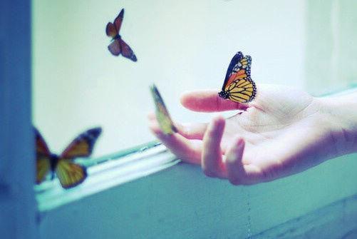 这一次我成全你们全文阅读 苏然谢礼常青小说无删减无弹窗