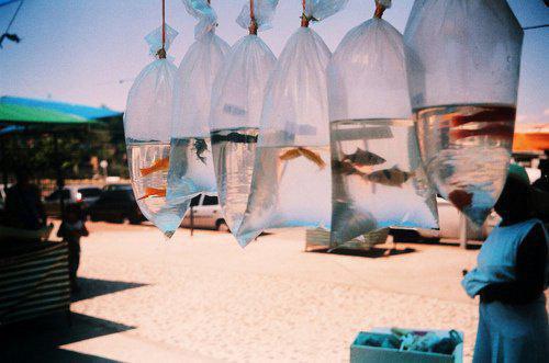 主角是宋殷殷丁成勇的小说免费阅读全文大结局