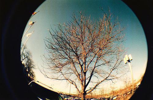 向思予霍祈垣小说免费试读 向思予霍祈垣第三章