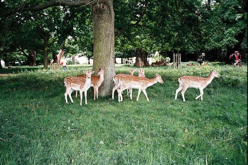 小姑子突发心梗，老公却在陪前任by夏蓝倾也是半半(安安顾言)小说APP内免费阅读